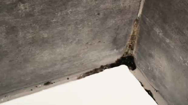 mold in corner of bath