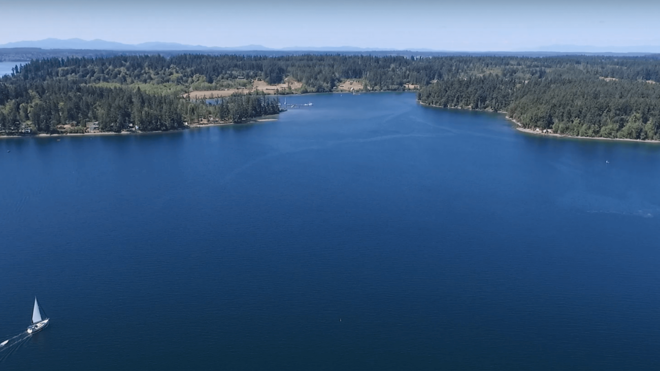 aerial view Anderson Island