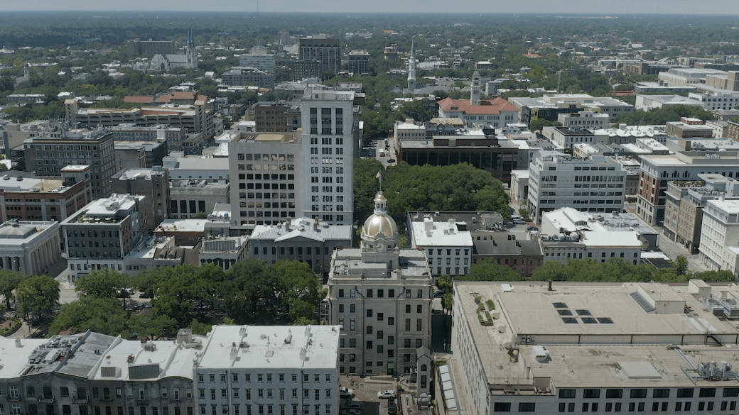 Savannah aerial view