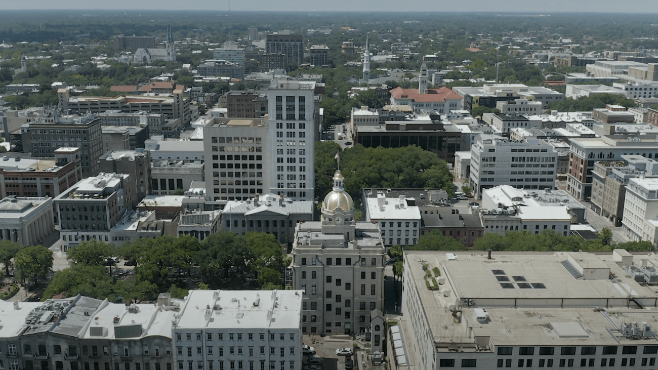 Savannah aerial view