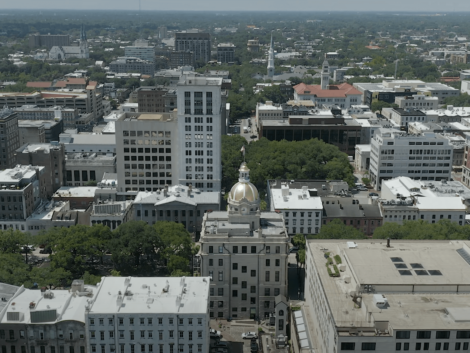 Savannah aerial view