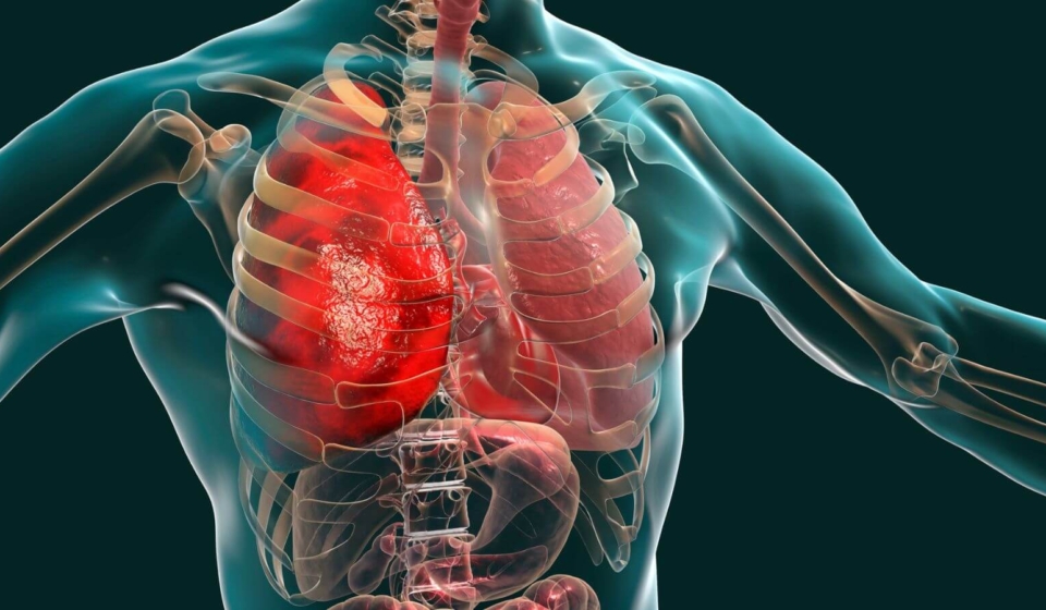 diagram:ky-cugf4blq= respiratory system