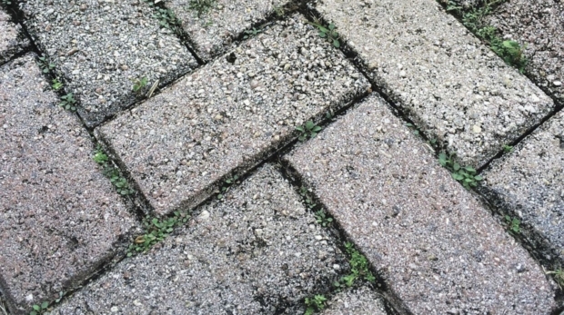 Image3