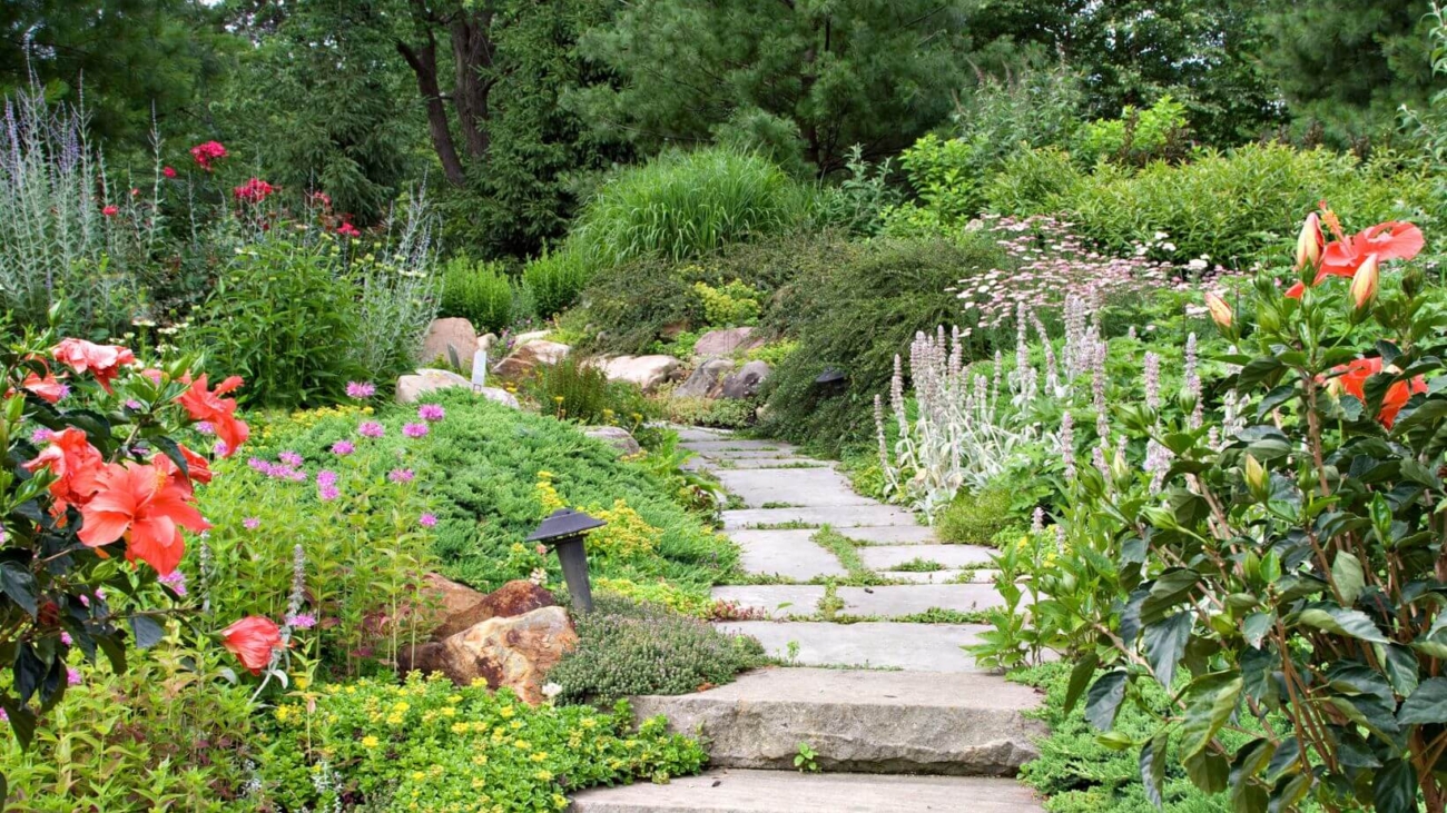 RMA - 2025-09-25T115428.409