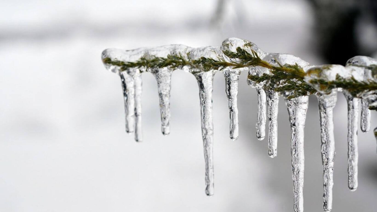 Image - 2025-12-06T143632.665