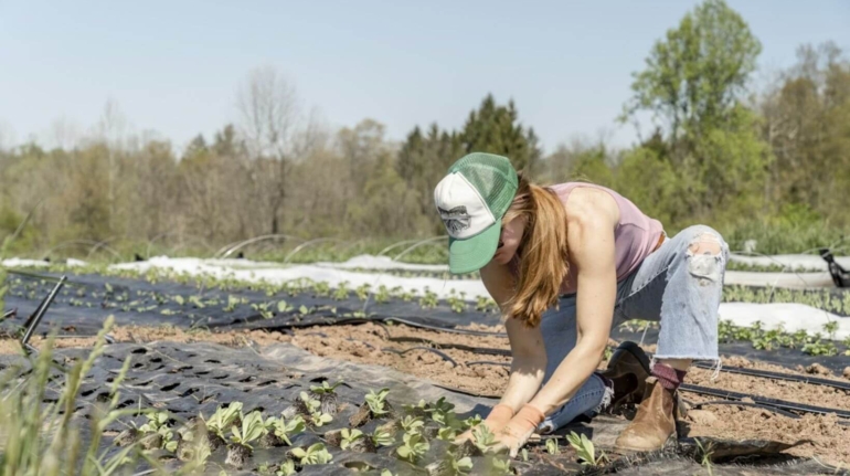 Image - 2025-12-21T004053.204