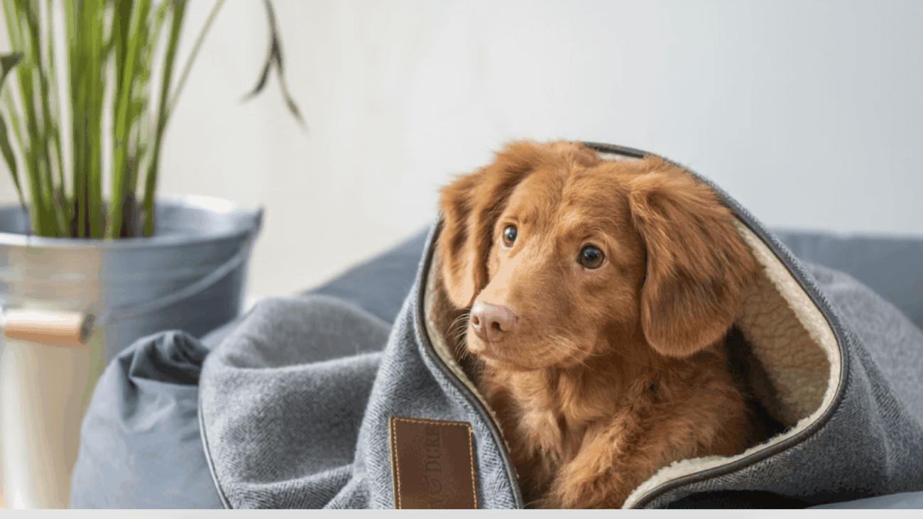 Untitled design (11)