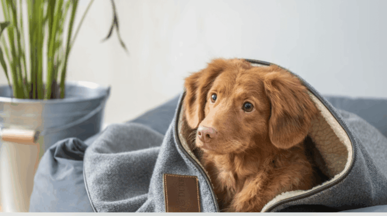 Untitled design (11)