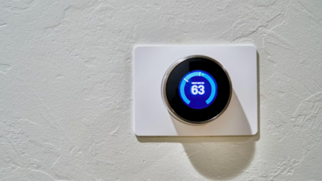 Untitled design (16)