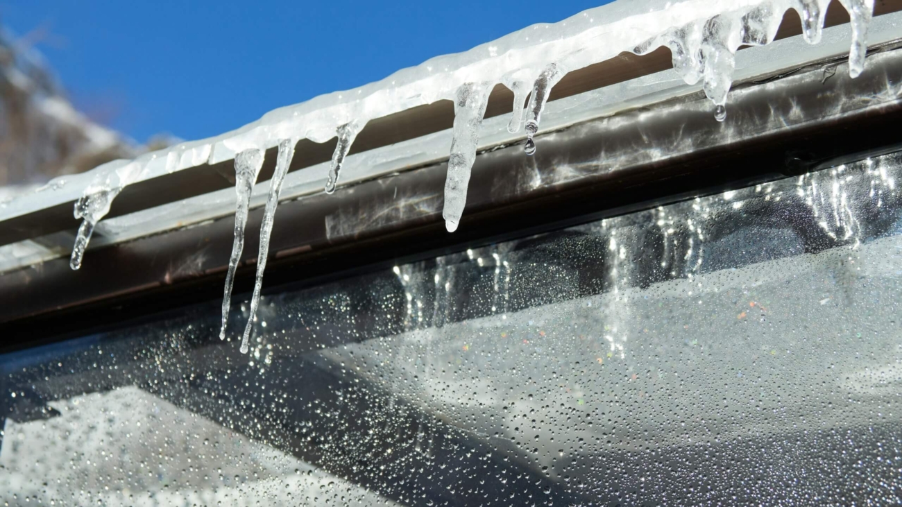 sylvia-su-NQcEzn7eIy0-unsplash