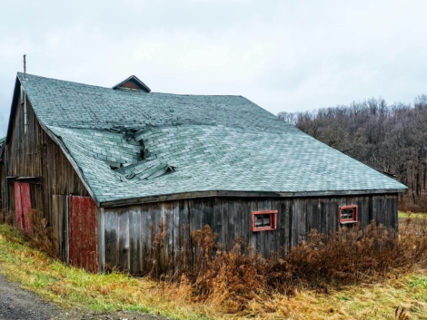 pexels-bo-passer-3823636-5668698