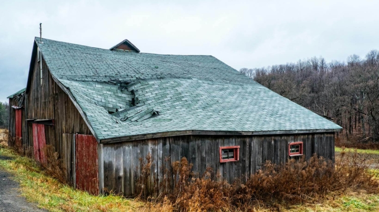 pexels-bo-passer-3823636-5668698